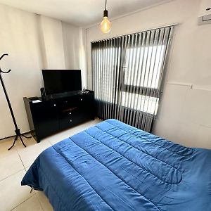 Departamento Temporal En La Plata